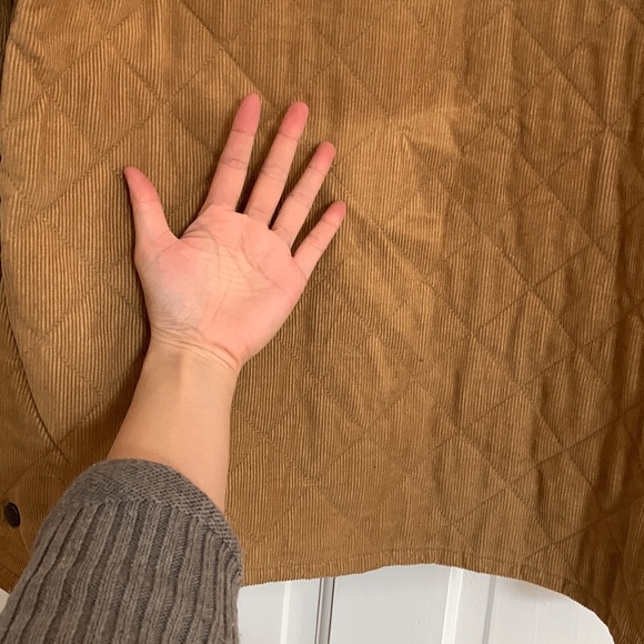 Quilted corduroy jacket - Picture 6 of 8